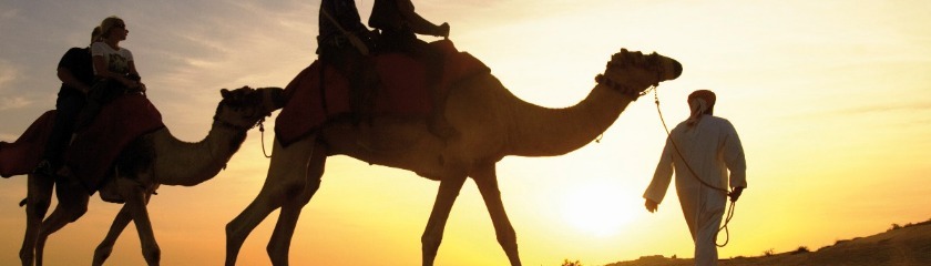 Dubai en Midden Oosten cruise overzicht