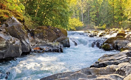 Nationaal park op Vancouver Island